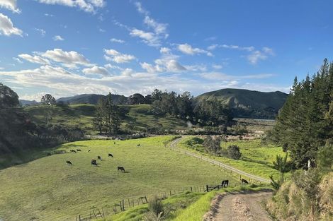 Photo of property in 158 Wainui Road, Kaeo, 0478