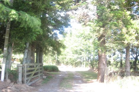 Photo of property in 85 Pongakawa Station Road, Pongakawa, Te Puke, 3186