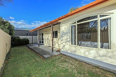 Photo of property in 607a Duke Street, Mahora, Hastings, 4120