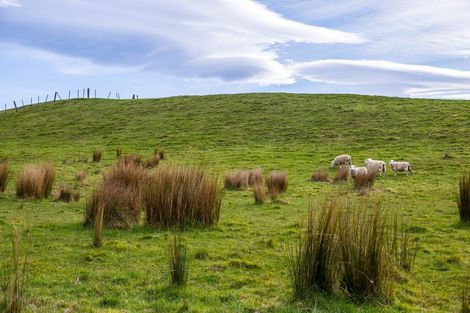 Photo of property in 147 Mangatuna Road, Weber, Dannevirke, 4970
