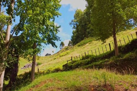 Photo of property in 822 Motukawa Road, Tarata, Inglewood, 4387