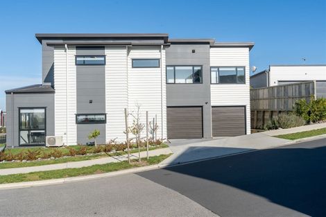 Photo of property in 69 Tennille Street, Flagstaff, Hamilton, 3210