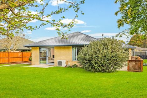 Photo of property in 3 The Stables, Woodend, 7610