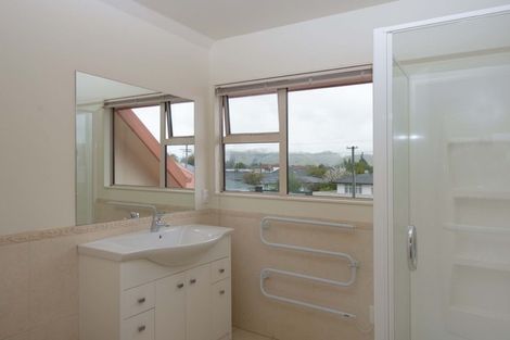 Photo of property in 100a Alfred Street, Blenheim, 7201