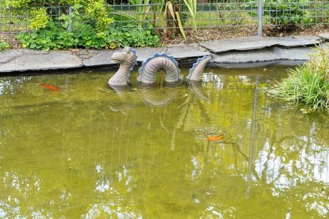 Photo of property in 1555 Morrinsville-tahuna Road, Tahuna, Morrinsville, 3373