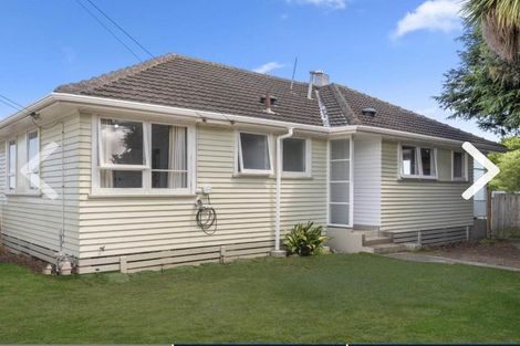 Photo of property in 24 Mahoe Street, Levin, 5510