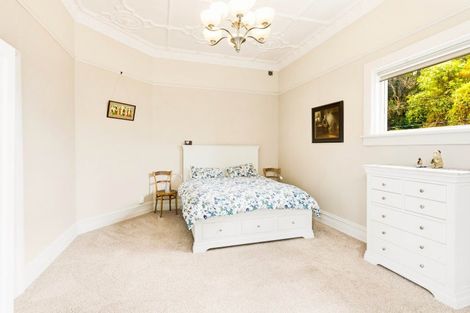 Photo of property in 41 Littlebourne Road, Roslyn, Dunedin, 9010