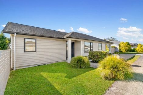 Photo of property in 244 Victoria Street West, Pukekohe, 2120