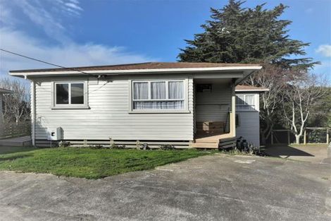 Photo of property in 14 Barclay Street, Ferndale, New Plymouth, 4310