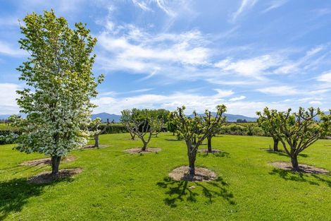 Photo of property in 56 Thomsons Ford Road, Thomsons Ford, Blenheim, 7272