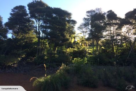 Photo of property in 175g Tapu Coroglen Road, Tapu, Thames, 3575