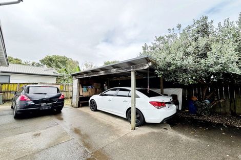 Photo of property in 58 Tripoli Road, Panmure, Auckland, 1072