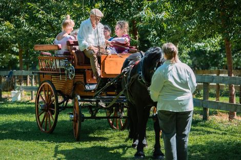 Photo of property in 125 Matangi Road, Matangi, Hamilton, 3284