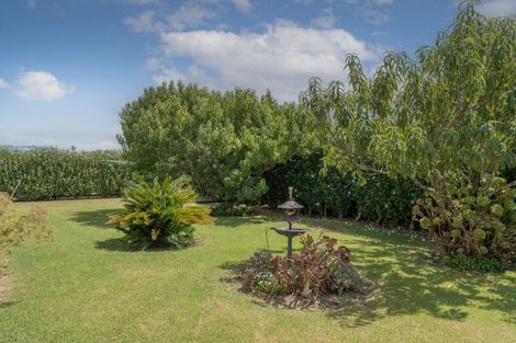 Photo of property in 24 Springbok Avenue, Whitianga, 3510