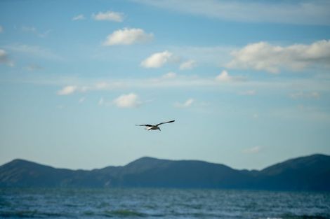 Photo of property in 52 Ames Street, Paekakariki, 5034