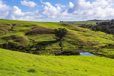 Photo of property in 164 Beatson Road, Whakapirau, 0583