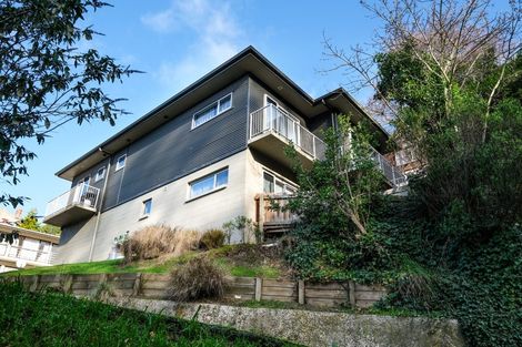 Photo of property in 71 Serpentine Avenue, Dunedin Central, Dunedin, 9016
