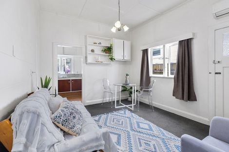 Photo of property in 101 Austin Street, Mount Victoria, Wellington, 6011