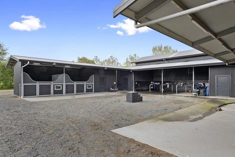 Photo of property in 591c Pencarrow Road, Tamahere, Hamilton, 3283