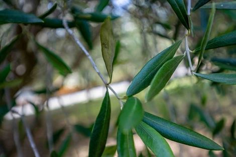 Photo of property in 12 Vangioni Lane, Akaroa, 7520