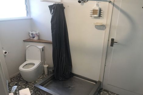 Photo of property in 19 Duchess Avenue, Dunedin Central, Dunedin, 9016