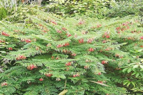 Photo of property in 46 Power Road, Karoro, Greymouth, 7805