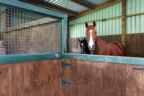 Photo of property in 274 Hot Springs Road, Tahawai, Katikati, 3178