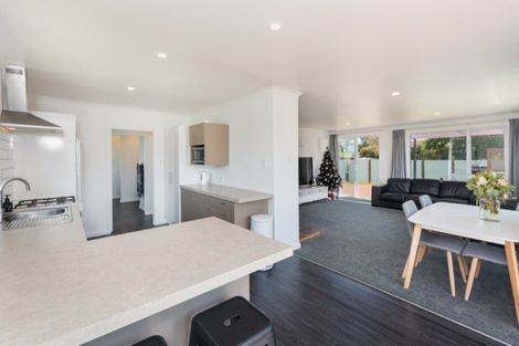 Photo of property in 80 Dillon Street, Blenheim, 7201