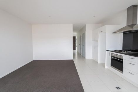 Photo of property in 18 Portland Lane, Chartwell, Hamilton, 3210