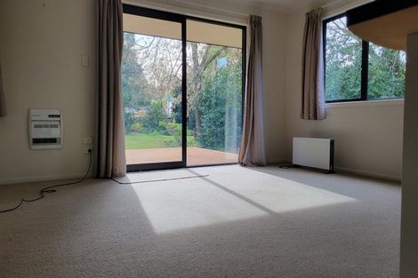 Photo of property in 45 Mount Erin Road, Pukahu, Hastings, 4172