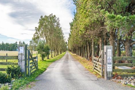 Photo of property in 246 Georges Road, Glasnevin, Amberley, 7482