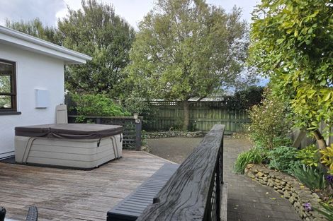 Photo of property in 207 Leo Street, Akina, Hastings, 4122