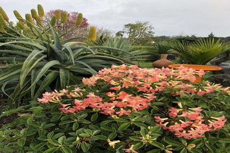 Photo of property in 36a Wicklam Lane, Greenhithe, Auckland, 0632