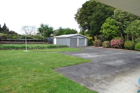 Photo of property in 50a Michael Street, Kuripuni, Masterton, 5810