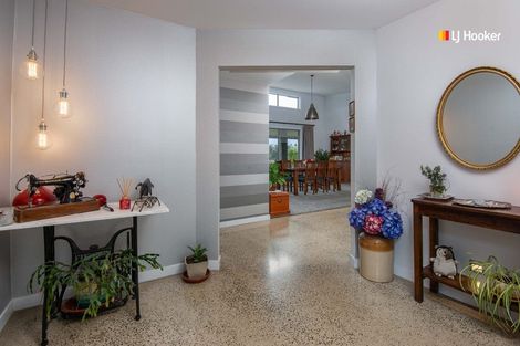 Photo of property in 49b Marshall Street, Bradford, Dunedin, 9011