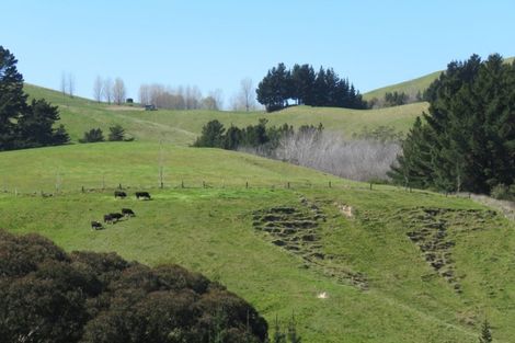Photo of property in 416 Apley Road, Puketapu, Napier, 4184