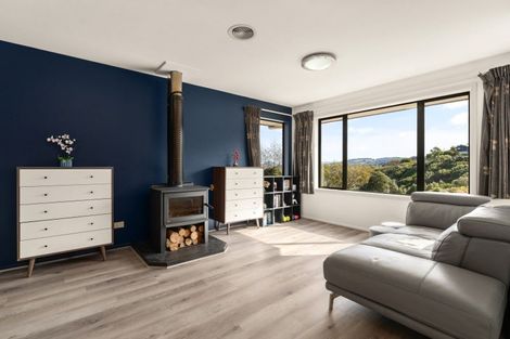 Photo of property in 206 Somerville Street, Shiel Hill, Dunedin, 9013