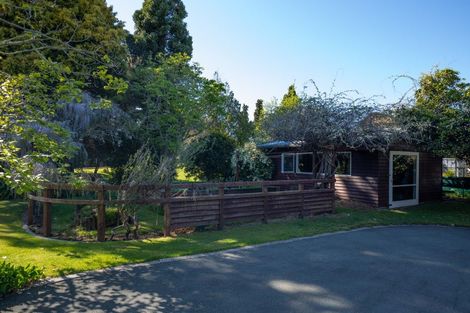 Photo of property in 137 Thorp Street, Motueka, 7120