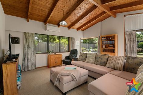 Photo of property in 60 Parry Palm Avenue, Waihi, 3610