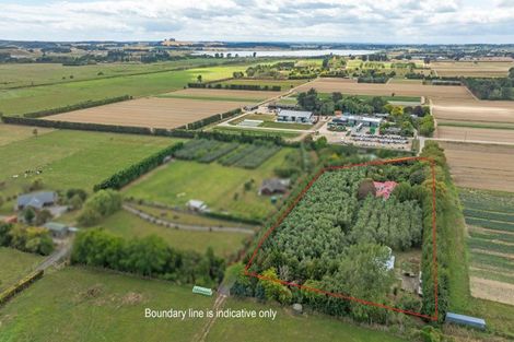 Photo of property in 49 Joblins Road, Levin, 5571