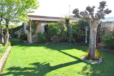 Photo of property in 68 York Street, Solway, Masterton, 5810