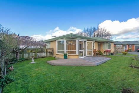 Photo of property in 174b Manchester Street, Feilding, 4702