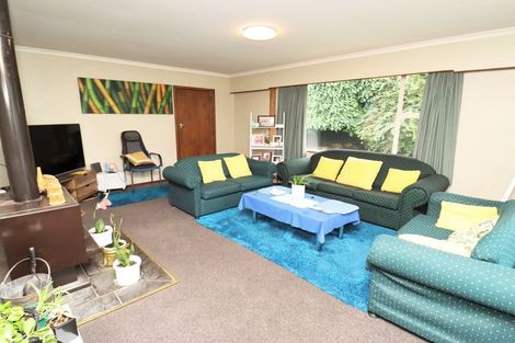 Photo of property in 51 Eden Street, Oamaru, 9400