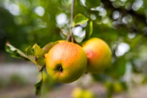 Photo of property in 47c Nelson Street, Mayfield, Blenheim, 7201