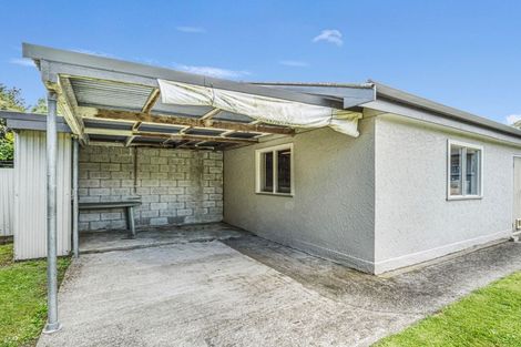 Photo of property in 22 Snowdon Avenue, Terrace End, Palmerston North, 4410