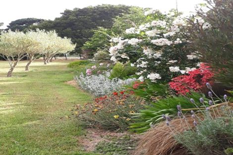 Photo of property in 31 Todds Road, Martinborough, 5711