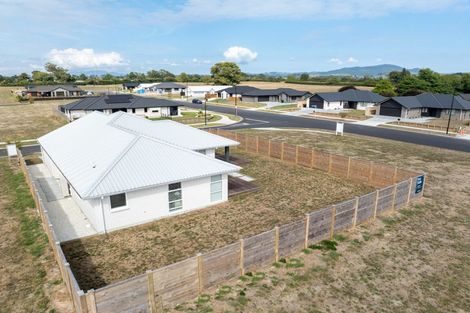 Photo of property in 30 Buxton Crescent, Matamata, 3400