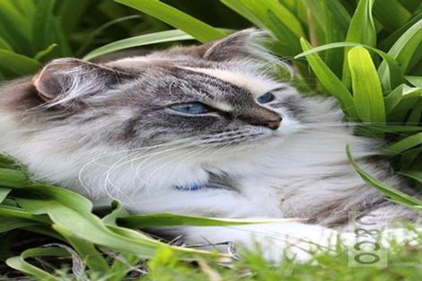 Photo of property in 12 Turpin Road, Riverhead, 0820