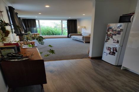 Photo of property in 155 Helensburgh Road, Wakari, Dunedin, 9010