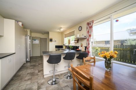 Photo of property in 127 Stanford Street North, Ashhurst, 4810